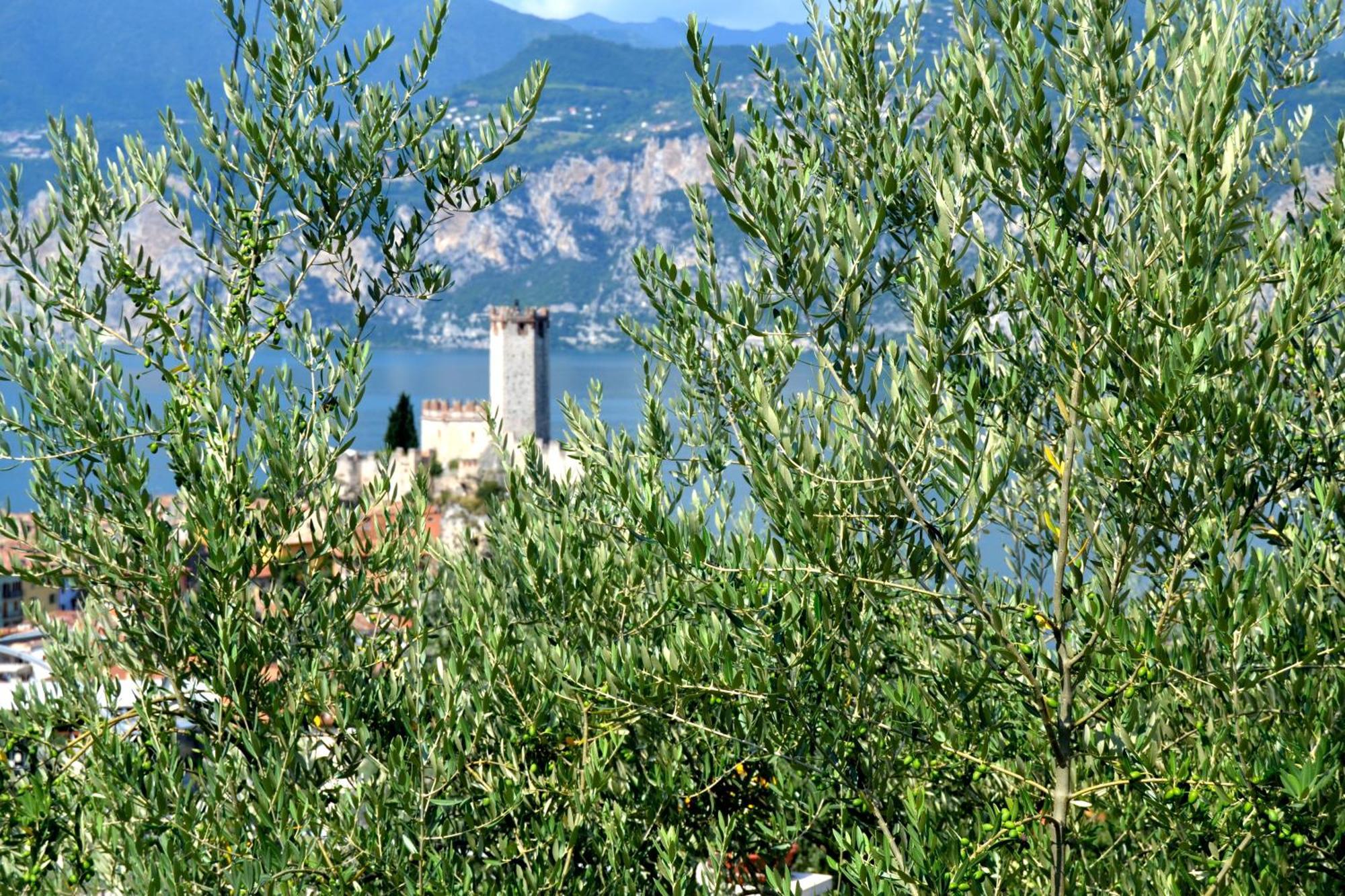 Appartamenti La Perla Malcesine Exteriör bild
